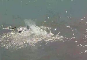 Sulama kanalı can aldı